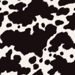 Cow2.jpg Cow2.jpg