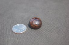 DSC_0022.JPG