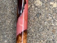 glue marks.jpg