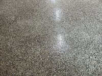 IMG_1373.jpeg