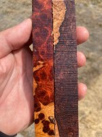 IMG_0181.jpeg
