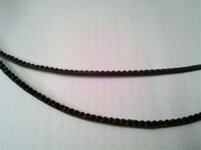 belt (Small).jpg
