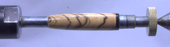 zebra 038.CRW.jpg