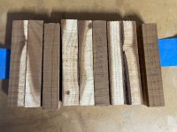 Russian Olive 1.JPG