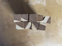 Russian Olive2.JPG