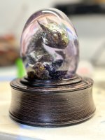 IMG_3064.jpeg
