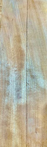 IMG_1272.jpeg