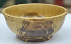 Spalted Elm 102812.JPG