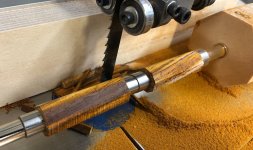 IMG_2638 Cropped.jpg IMG_2638 Cropped.jpg