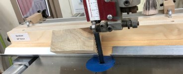 IMG_5446 Cropped.jpg IMG_5446 Cropped.jpg