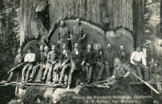 Humboldt County CA.PNG