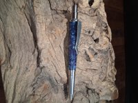 Blue pen 1.jpg