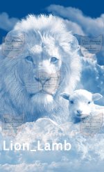 Lion-Lamb-Sierra Sized-Public.jpg