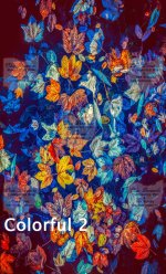 Colorful2-Sierra Size-Public.jpg