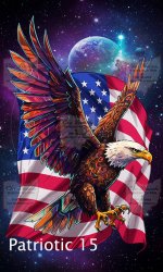 Patriotic15-Public.jpg Patriotic15-Public.jpg