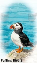 Puffinsbird2-Public.jpg Puffinsbird2-Public.jpg
