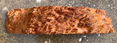 IMG_5597.jpeg