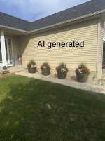 Image-1.jpeg