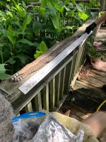 IMG_3801.jpeg