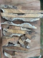 IMG_0186.jpeg