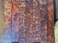 IMG_1235.jpeg