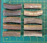 antler 1.jpg