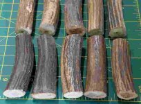 antler 3.jpg