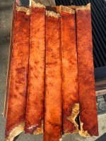 IMG_0753.jpeg