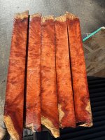 IMG_0750.jpeg