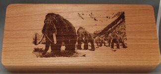 Mammoth Pen Box.jpg