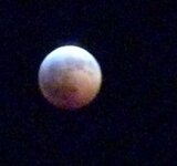 LunarEclipse20101220-1.jpg