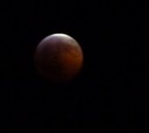 LunarEclipse20101220-2.jpg