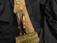 pens 016.jpg