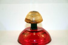 mushroom 01b.jpg