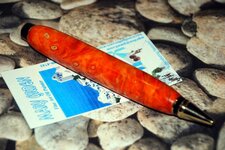 Pens - 12-28-10 Buckeye Cigar - Harley Backside.jpg