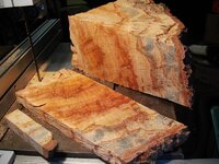 timber preparation 005.jpg