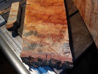 timber preparation 009.jpg