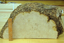 Box Elder Burl.jpg