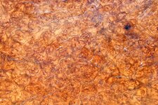 Amboyna Burl.jpg