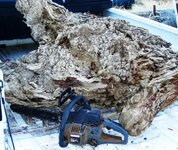 new burl 005.jpg