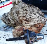 new burl 007.jpg