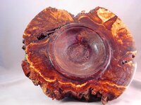 first peek in to the new burl 023_4_5_fused.jpg