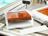 timber preparation 1654_(1).jpg