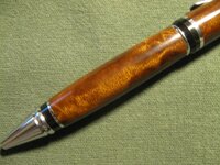 Ringed Gidgee 1c.jpg