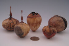mini-HFs-2.jpg mini-HFs-2.jpg