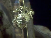IMG_20110119_132322.jpg