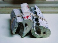 Alligator 1.jpg