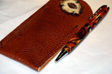 Pens - 1-24-11 Harley for Lynn 2.jpg