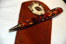 Pens - 1-24-11 Harley for Lynn 3.jpg