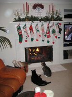 ChristmasKittys.jpg